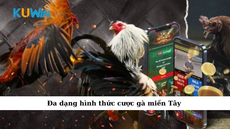 Đa dạng hình thức cược gà miền Tây