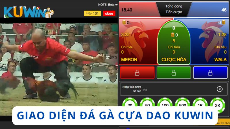 Giao diện chơi đá gà cựa dao online tại Kuwin