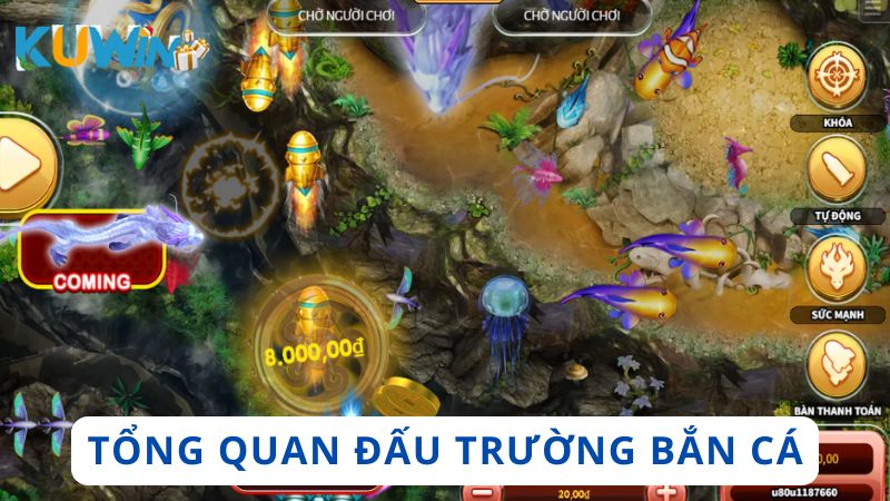 Giới thiệu trò chơi Đấu Trường Bắn Cá hấp dẫn