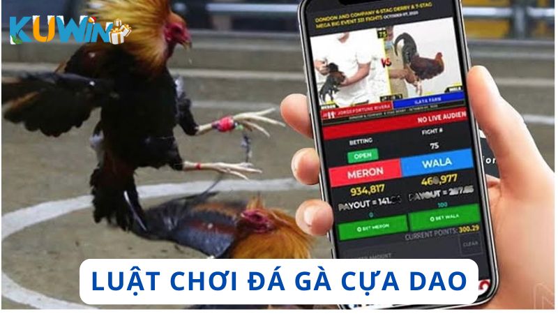 Luật chơi đá gà online cho toàn bộ thành viên tham gia