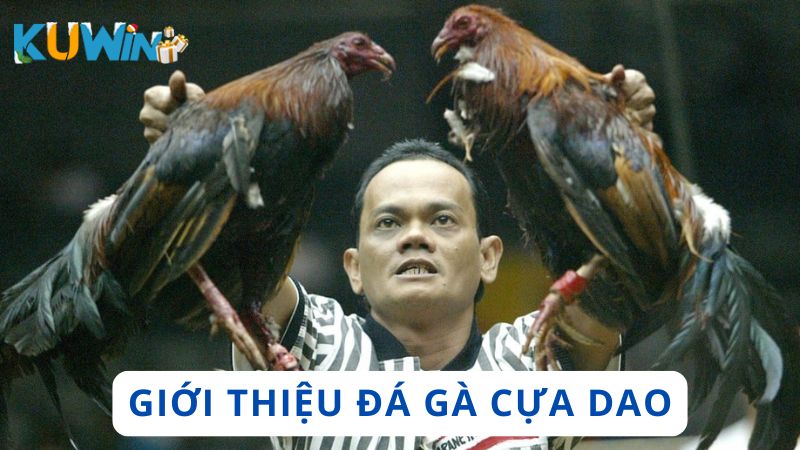 Tổng quan về trò chơi đá gà cựa dao hấp dẫn