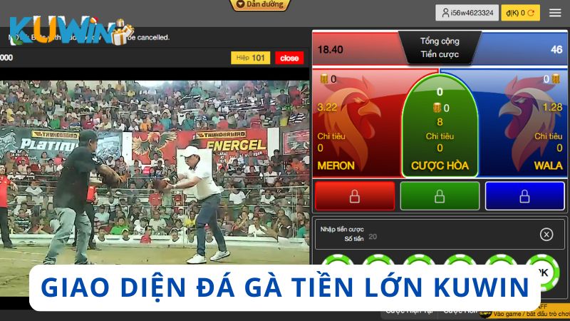 Giao diện tổ chức đá gà tại nhà cái Kuwin