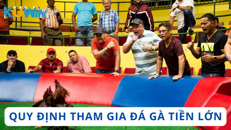 Quy định khi tham gia đặt cược đá gà cho toàn bộ thành viên