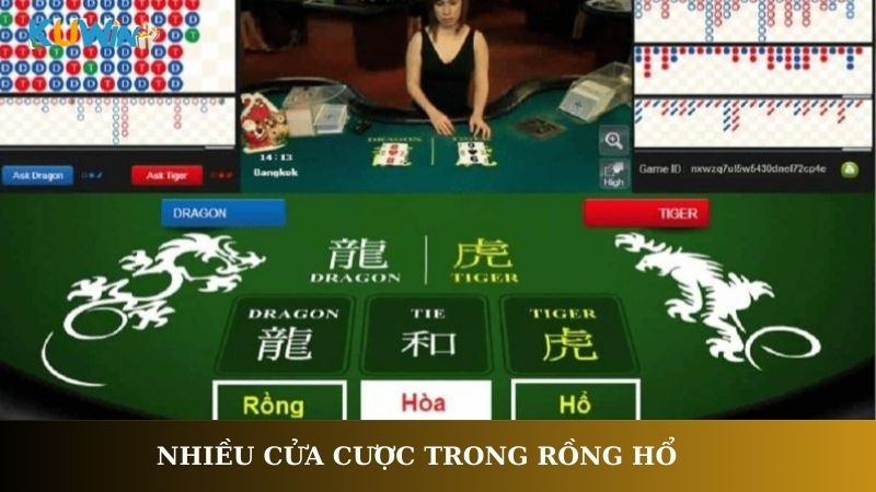 Nhiều cửa cược trong rồng hổ